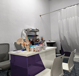 Hospital Gallery 3